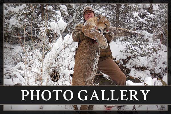 Photo Gallery Shell Valley Outfitters Photo Gallery